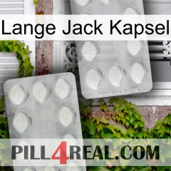 Long Jack Capsule 17